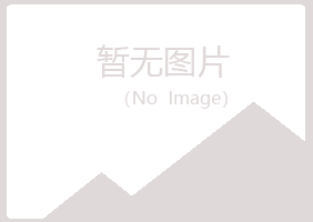 河池清新金属有限公司